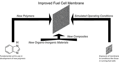 Membrane development
