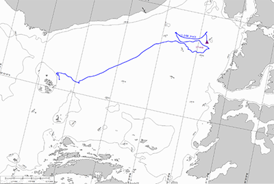 Driftspor for det isbjerg der kunne følges i længst tid (17. august - 11. november 2021), fra en position nordvest fra Ilulissat til isbjergets endeligt ved Hunde Ejland i vestlige Disko Bugt. Undervejs stod isbjerget flere gang på grund på 225 m vand.