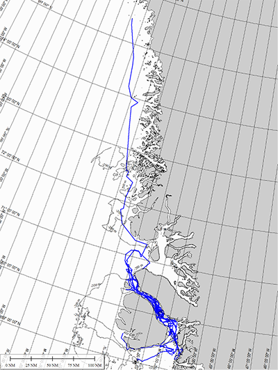 Samtlige GPS spor for isbjerge.